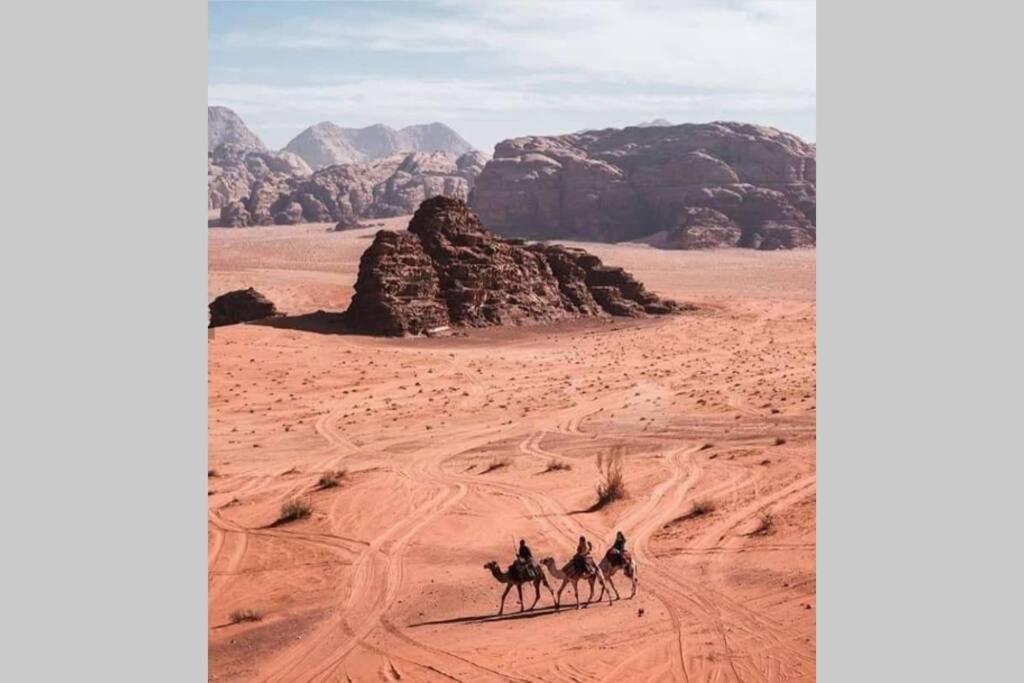 Bedouin Nature Travels Wadi Musa Ngoại thất bức ảnh