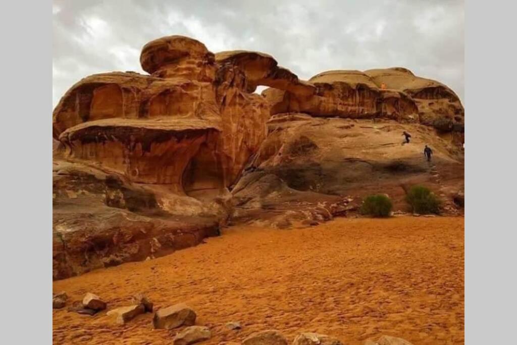 Bedouin Nature Travels Wadi Musa Ngoại thất bức ảnh